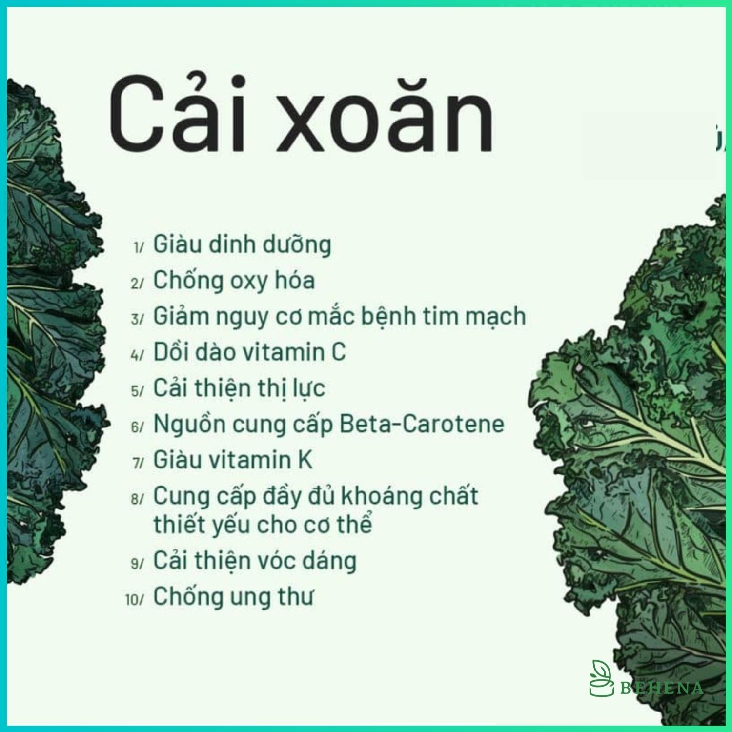 Bột rau cải xoăn kale Behena hữu cơ sấy lạnh nguyên chất cho bé ăn dặm hộp 50g