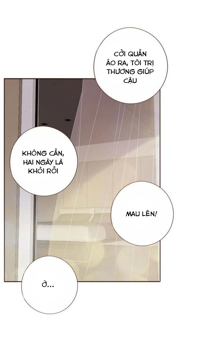 ôm chặt vào lòng chapter 31 39