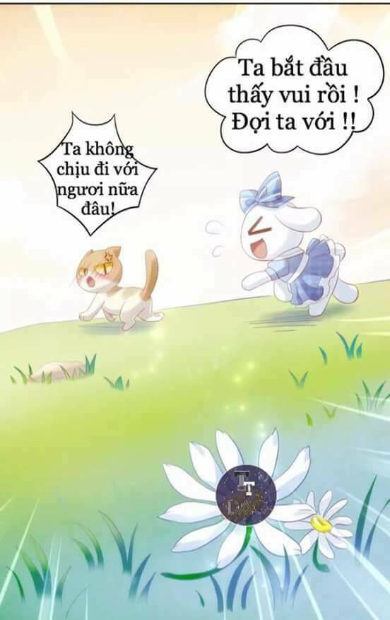 thị hoang chi thần chapter 7 50