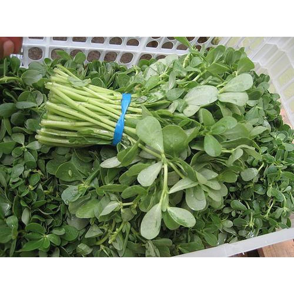 Gói 2g hạt giống rau sam
