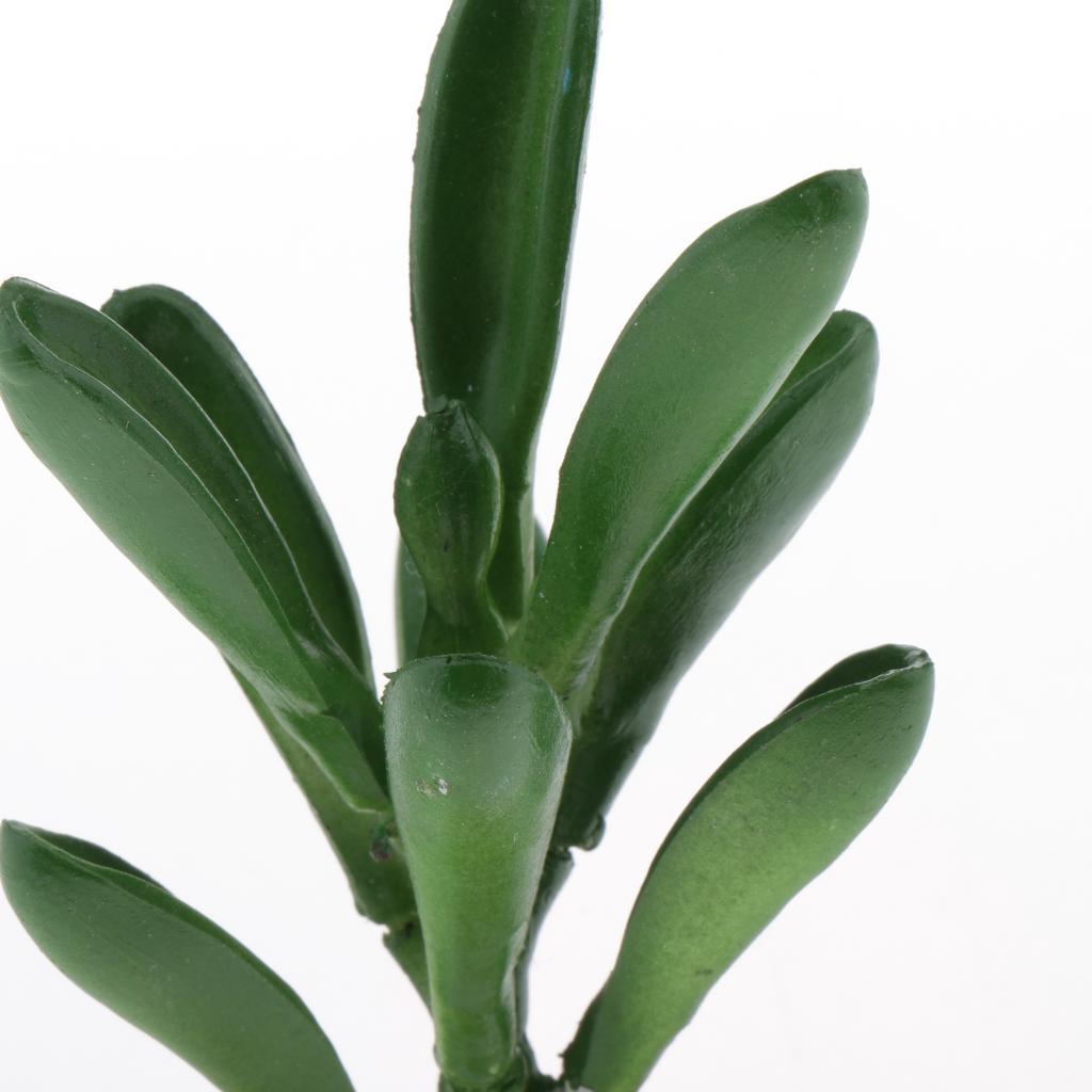 Aquarium Fish Tank Ornaments Plants Succulents Reptile Hideaway Decoration