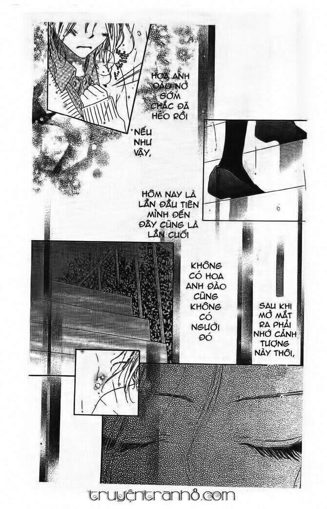 gió xuân chapter 5 8