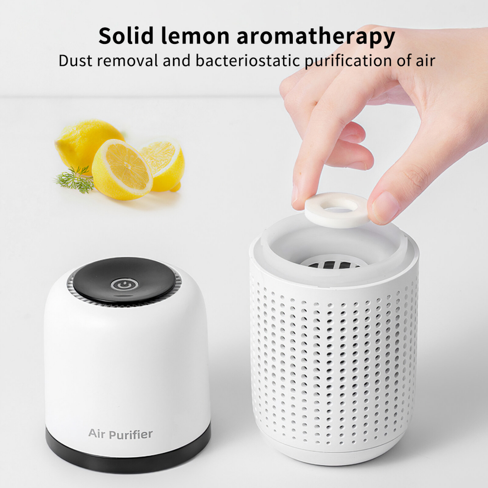 Máy lọc không khí ô tô Car Air Purifier P02-Hàng chính hãng