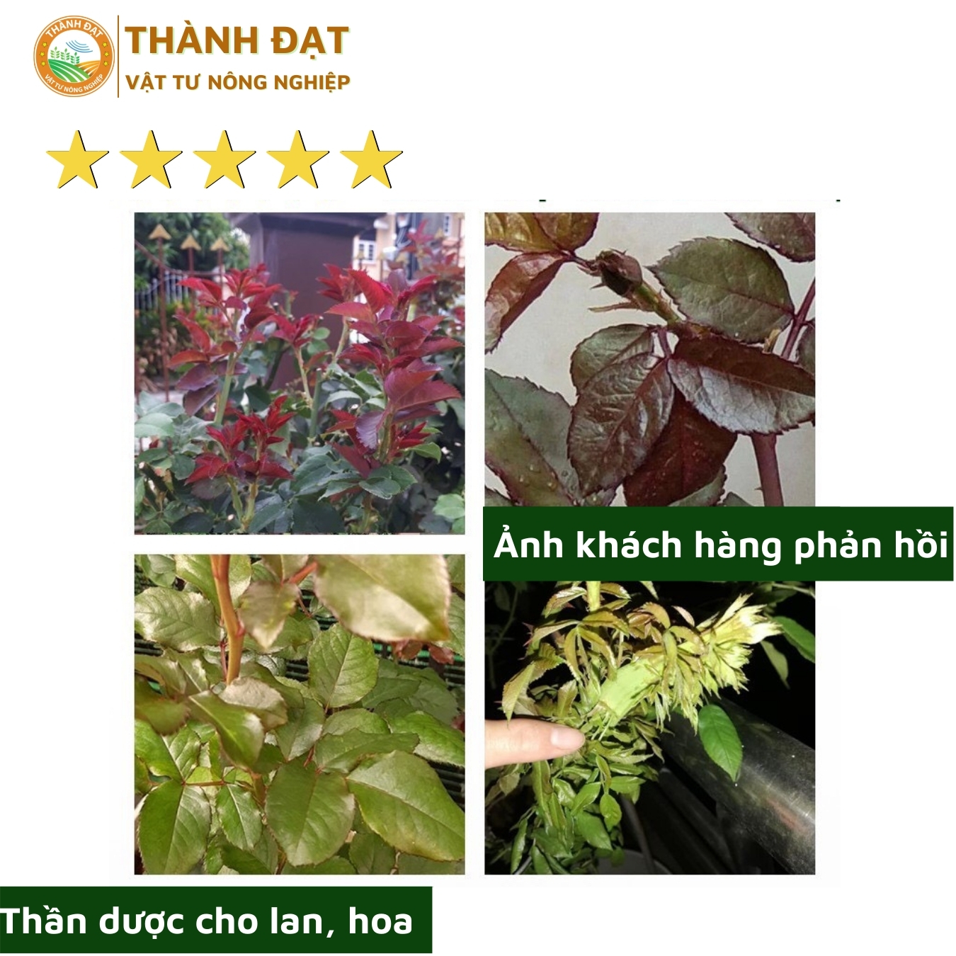 Viên Nén Dinh Dưỡng Hữu Cơ Hùng Nguyễn Ben 01 gói 1 ký, phân bón cho lan - hoa - cây cảnh