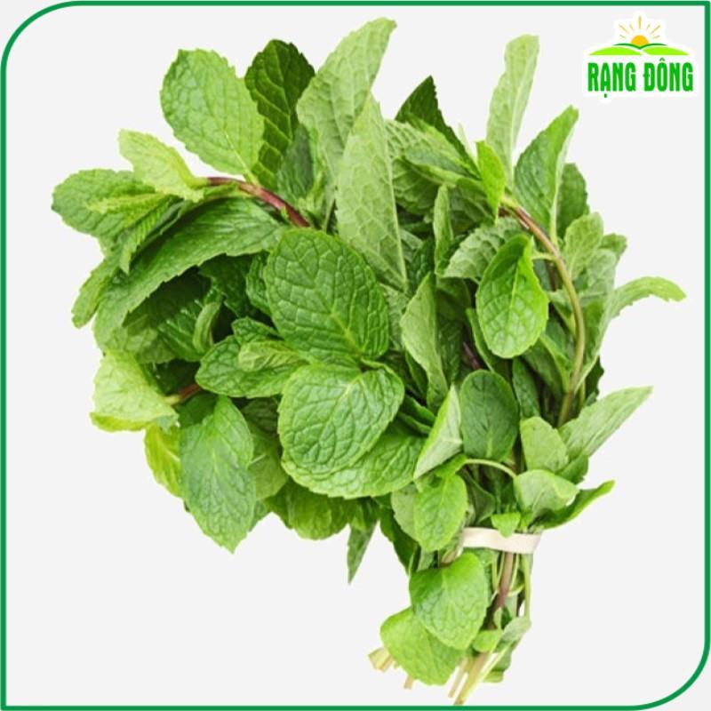 Hạt giống Húng Lủi Rado 931 (0,2g~700 hạt) thu hoạch nhiều lần,trồng quanh năm - Hạt giống Rạng Đông