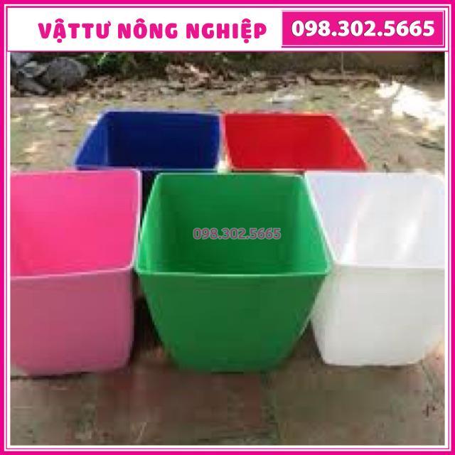 Chậu nhựa vuông trồng cây đủ màu kích thước 12x12cm