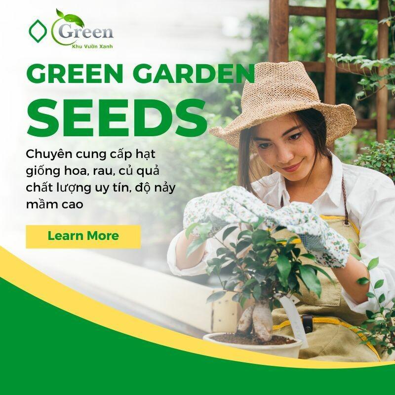 Hạt Giống Hoa Sát Đất Lâu Năm Chịu Hạn Xeriscape