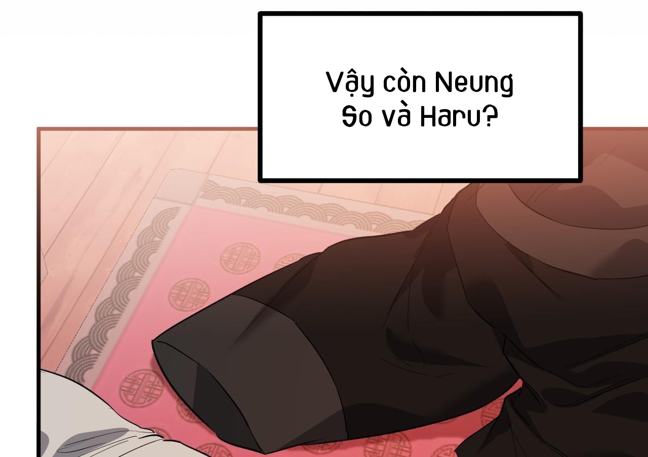 NHỮNG CHÚ THỎ CỦA HAPYPY chapter 63