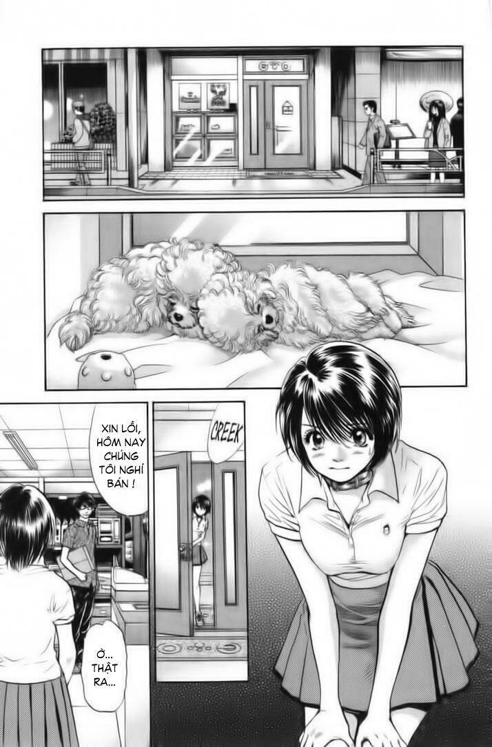 cô nàng yêu chó chapter 26 17
