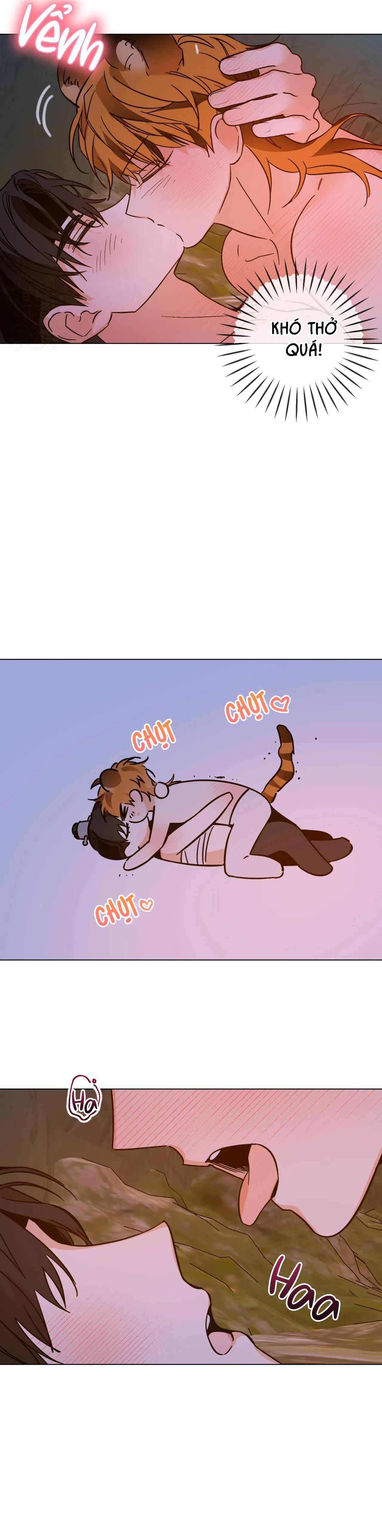 bl cổ trang - âu cổ ngắn nhà kim chapter 11.5 18