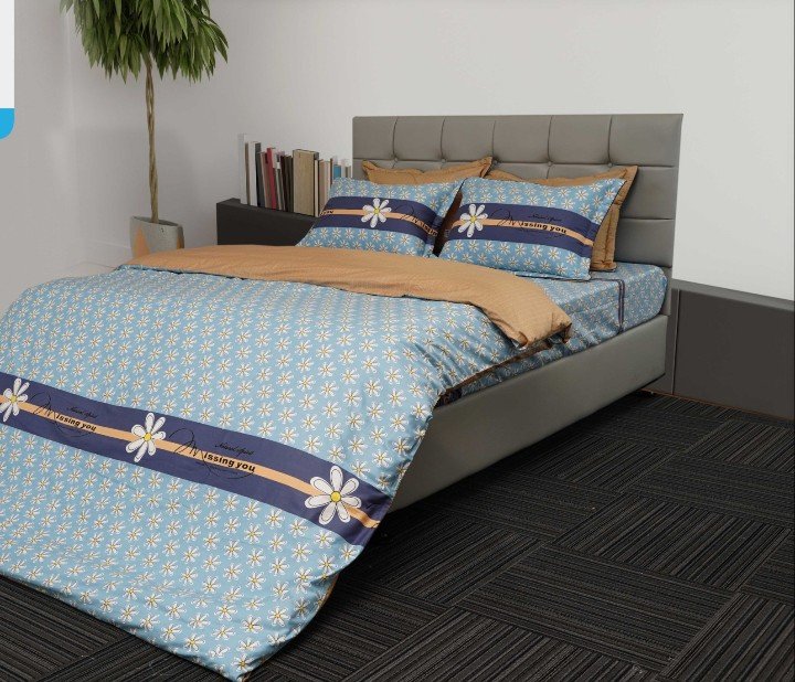 BỘ DRAP GỐI COTTON