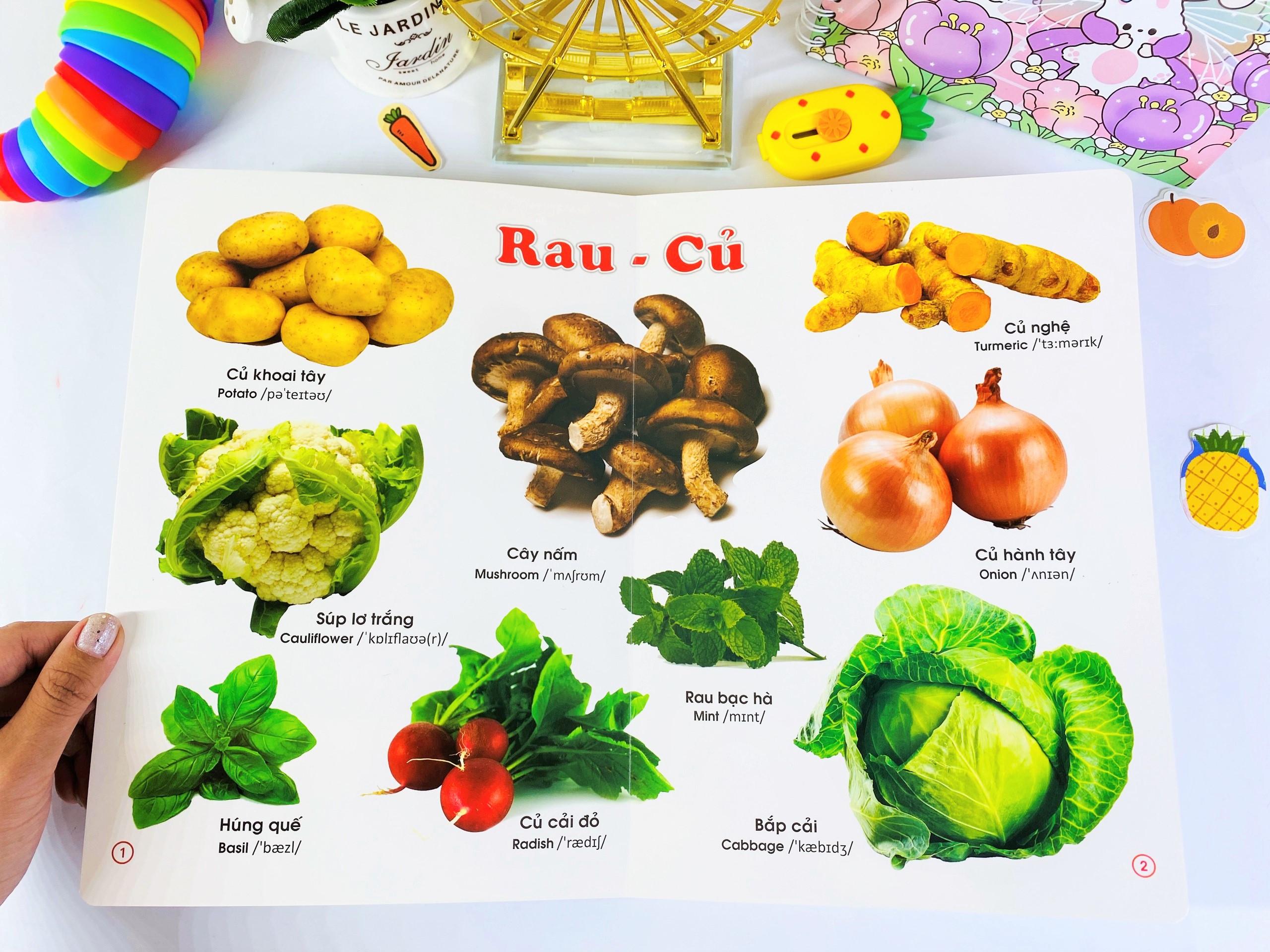 Sách - Từ điển bằng tranh Rau Củ Quả - ndbooks