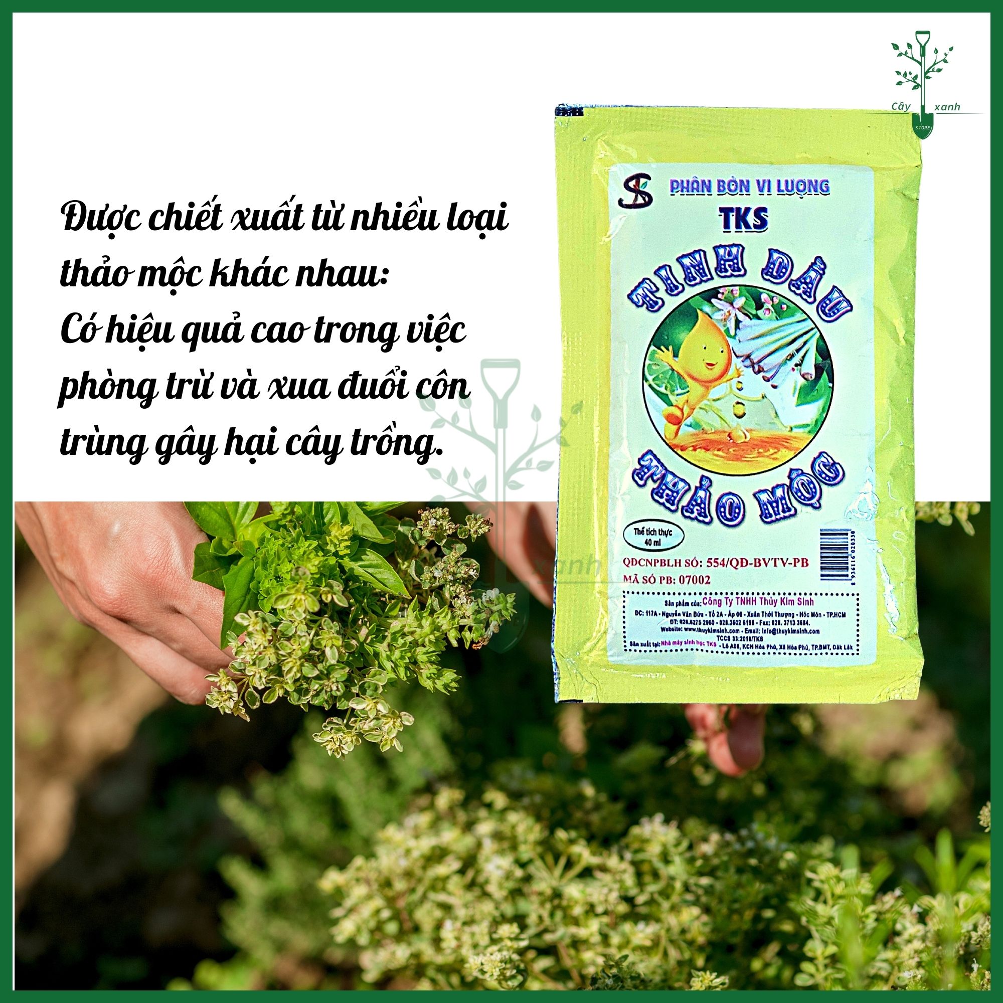 Tinh dầu thảo mộc TKS Diệt sâu, Trừ rầy, Loại bỏ sâu cuốn lá - Gói 40ml - Cây Xanh Store
