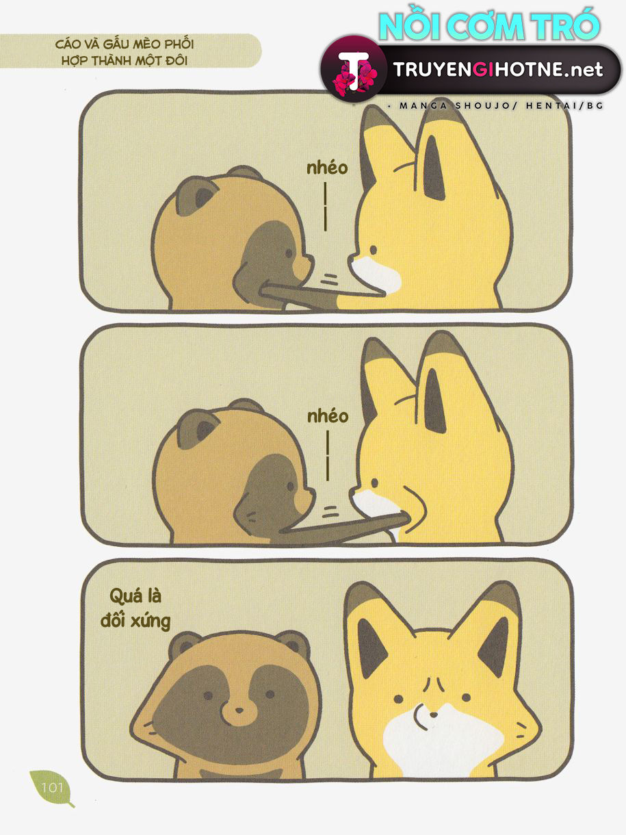 cáo và gấu mèo chapter 8 11