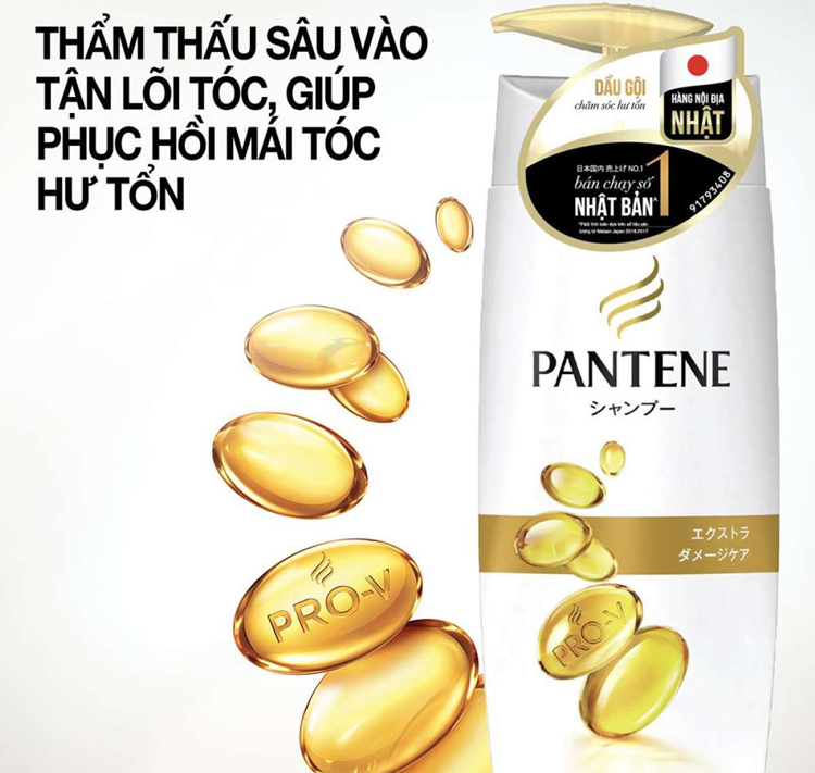 Dầu Gội Pantene Nhật Bản Chăm Sóc Hư Tổn Chuyên Sâu (450ml)