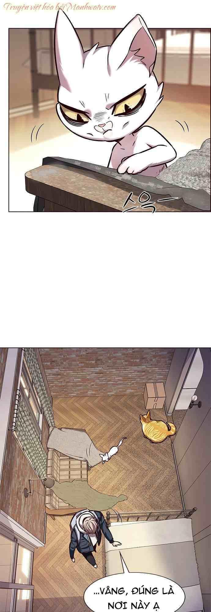 biến thân thành mèo chapter 231 35