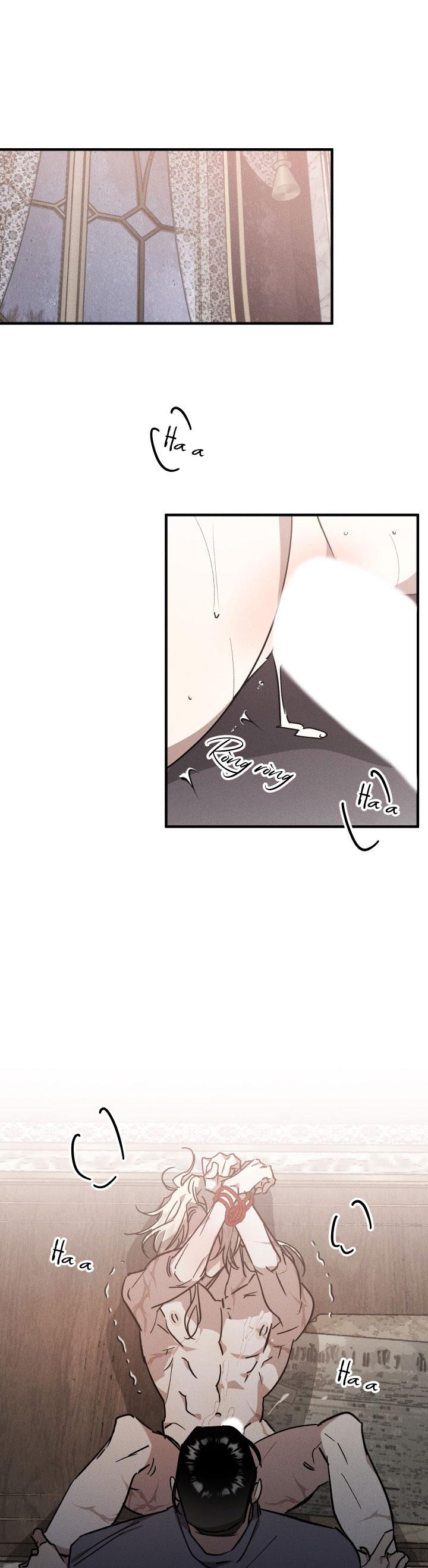 khu vườn hoa lavender chapter 6 1