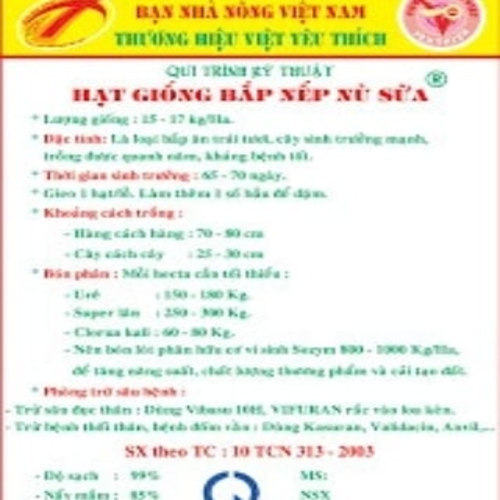 Hạt giống bắp nếp nù sữa dẻo gói 0,5kg