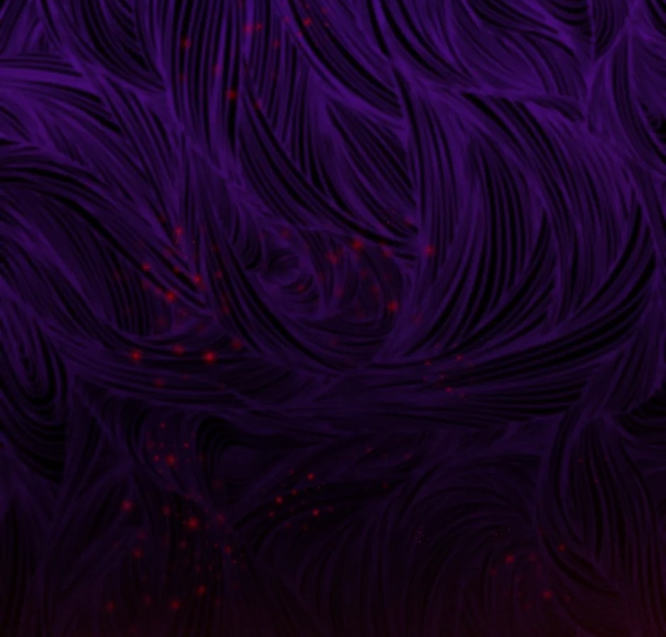 từ hầu gái tôi đã trở thành hoàng hậu chapter 100 47