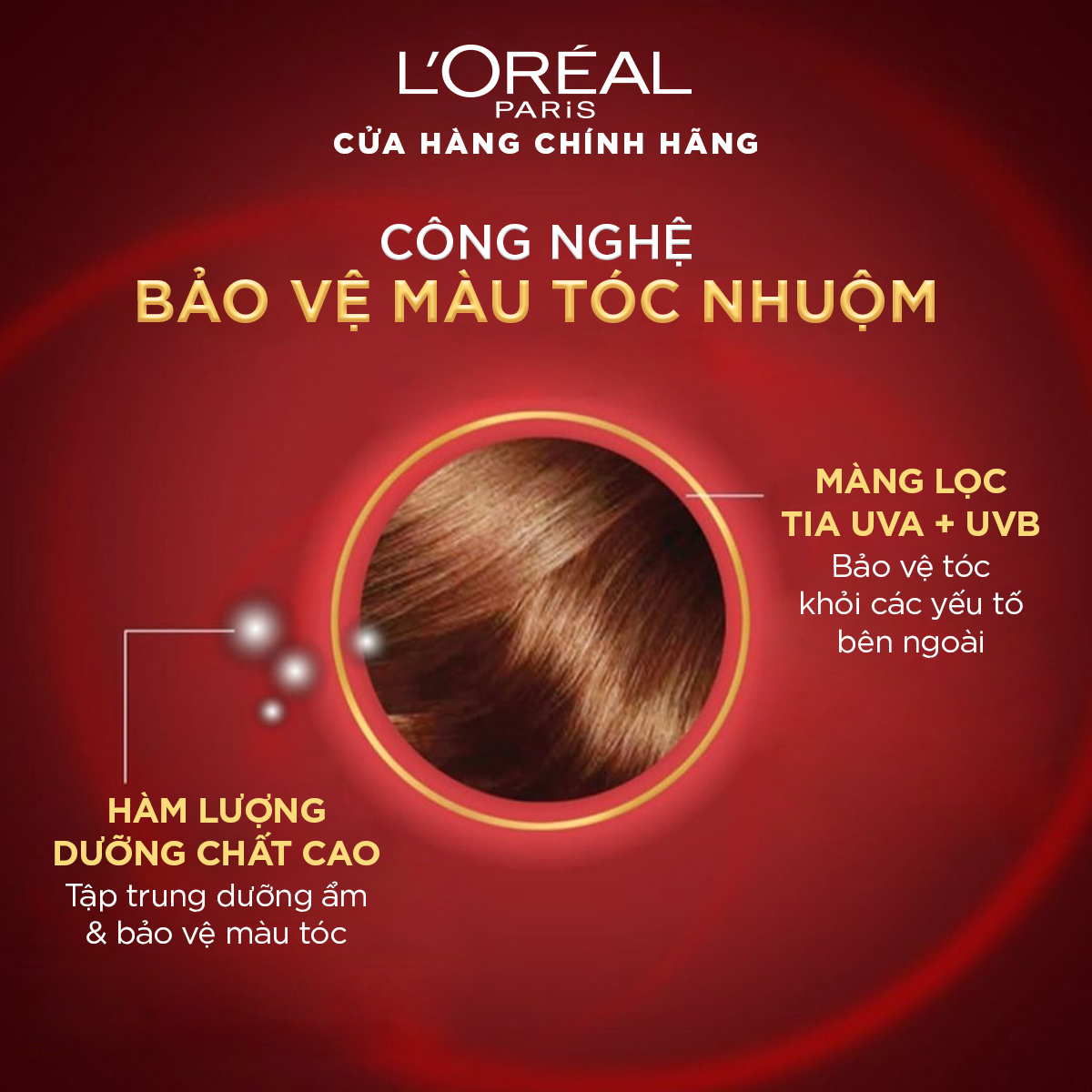 Dầu gội bảo vệ và lưu giữ màu tóc nhuộm trong 7 tuần L'Oréal Paris Elseve Color Protect 7 weeks Protecting Shampoo 280ml