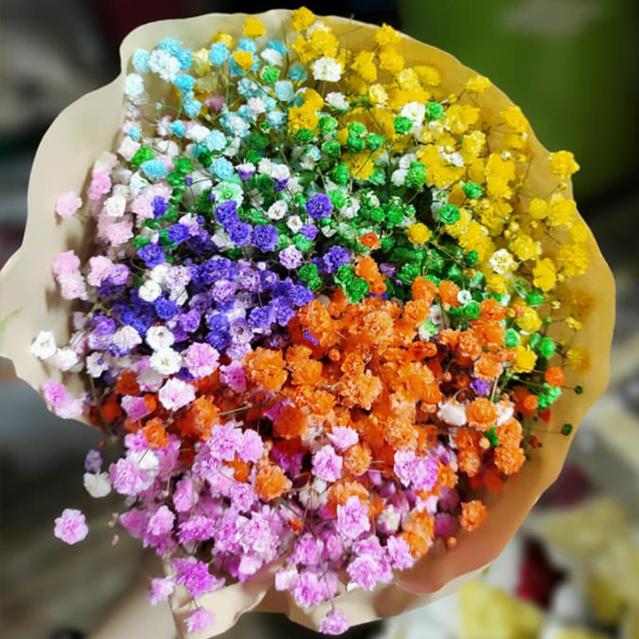 Nước Màu Nhuộm Hoa Tươi Màu Cam Israel Color Sodium For Fresh Flowers