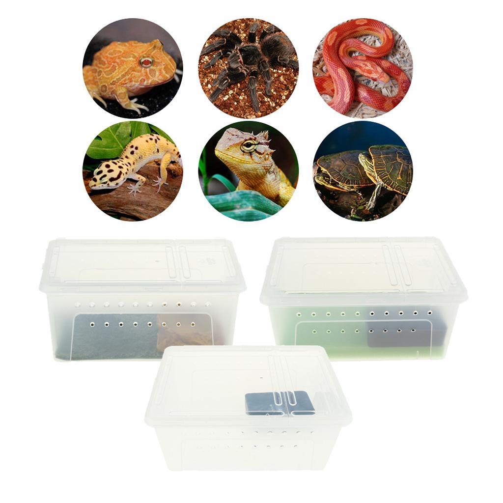 Reptile Amphibian Habitat Terrarium Vivarium Breeding Box