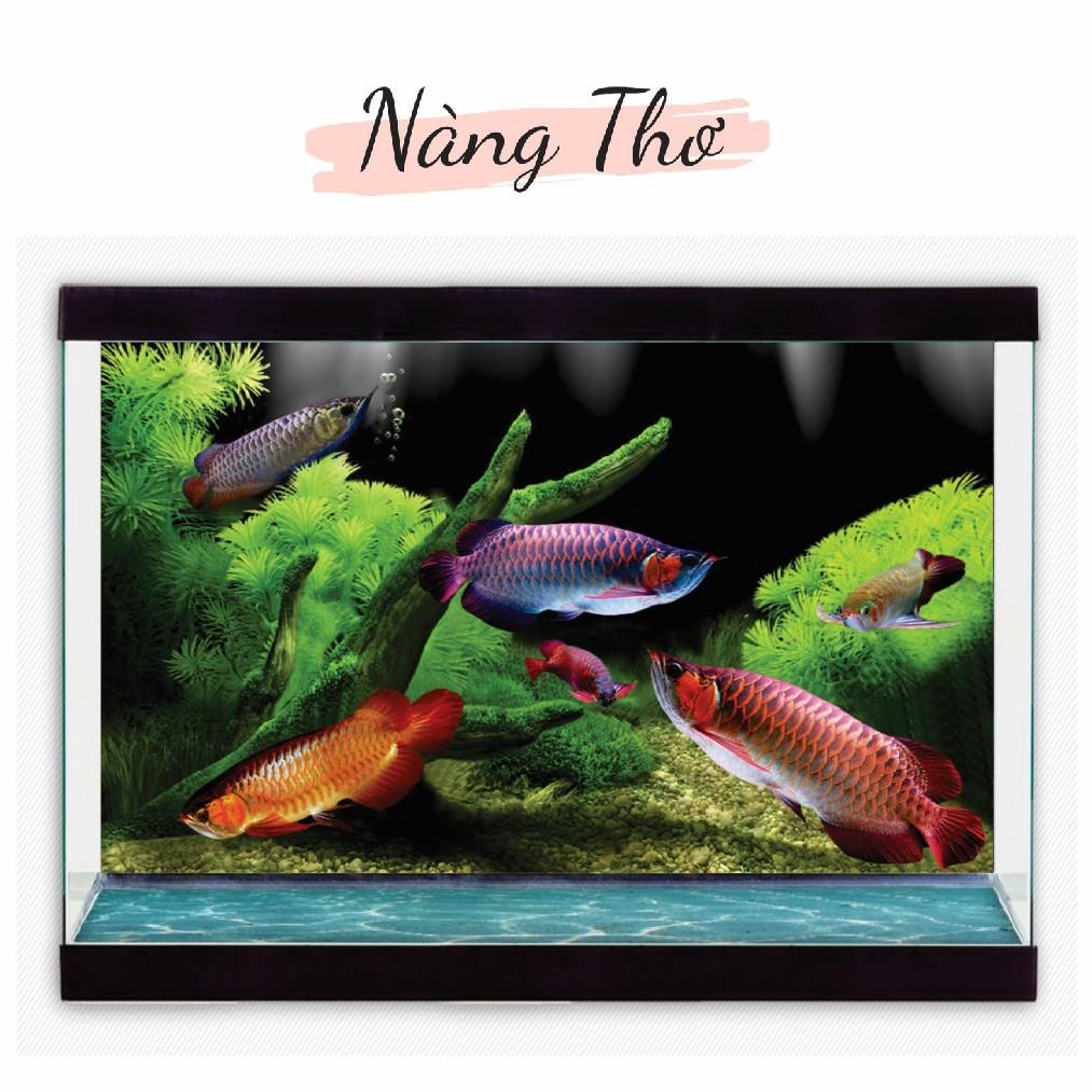 Decal dán hồ cá 087_nhiều kích thước
