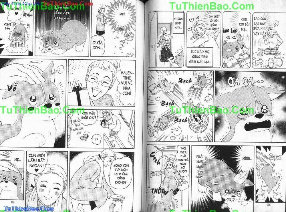 chó con mo mo chapter 6 44