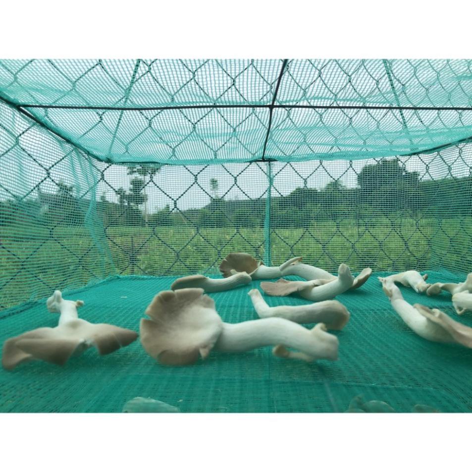 Xả hàng sale 45x45x60cm Lồng lưới phơi khô thực phẩm phơi cá chống côn trùng treo 4 tầng để phơi cá khô có thể xếp gọn-