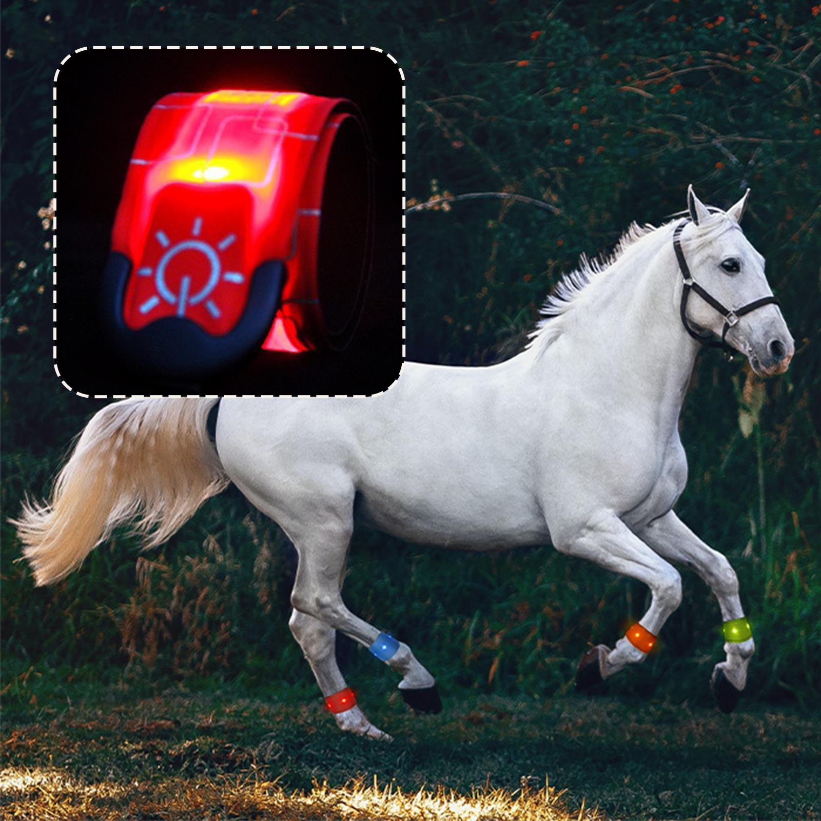 LED Horse Ankle Strap Leg Protection Belt for Running Outdoor Horse Riding