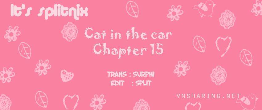 cat in the car chapter 15 1