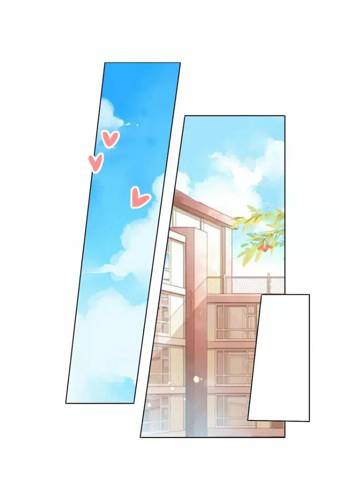 Tình yêu là màu hoa anh thảo chapter 26.2 9