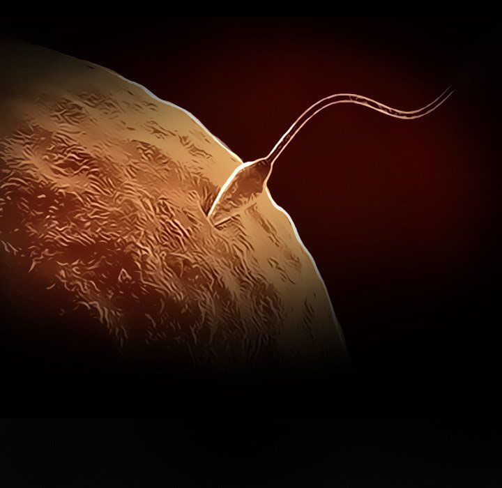 lòng chung thủy chapter 22 7