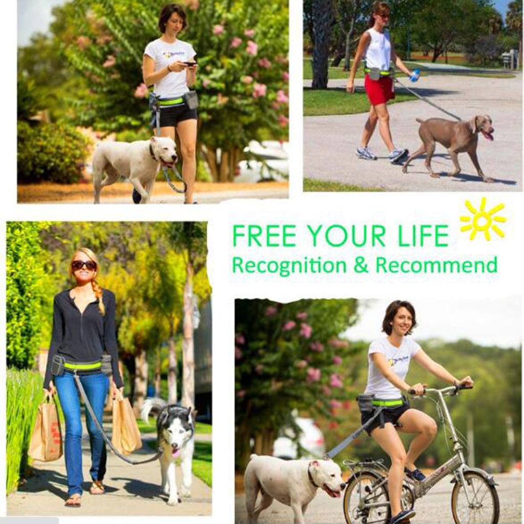 Dog Leash Lead w/ Waist Pouch Handsfree Reflective Buckle Belt Harness