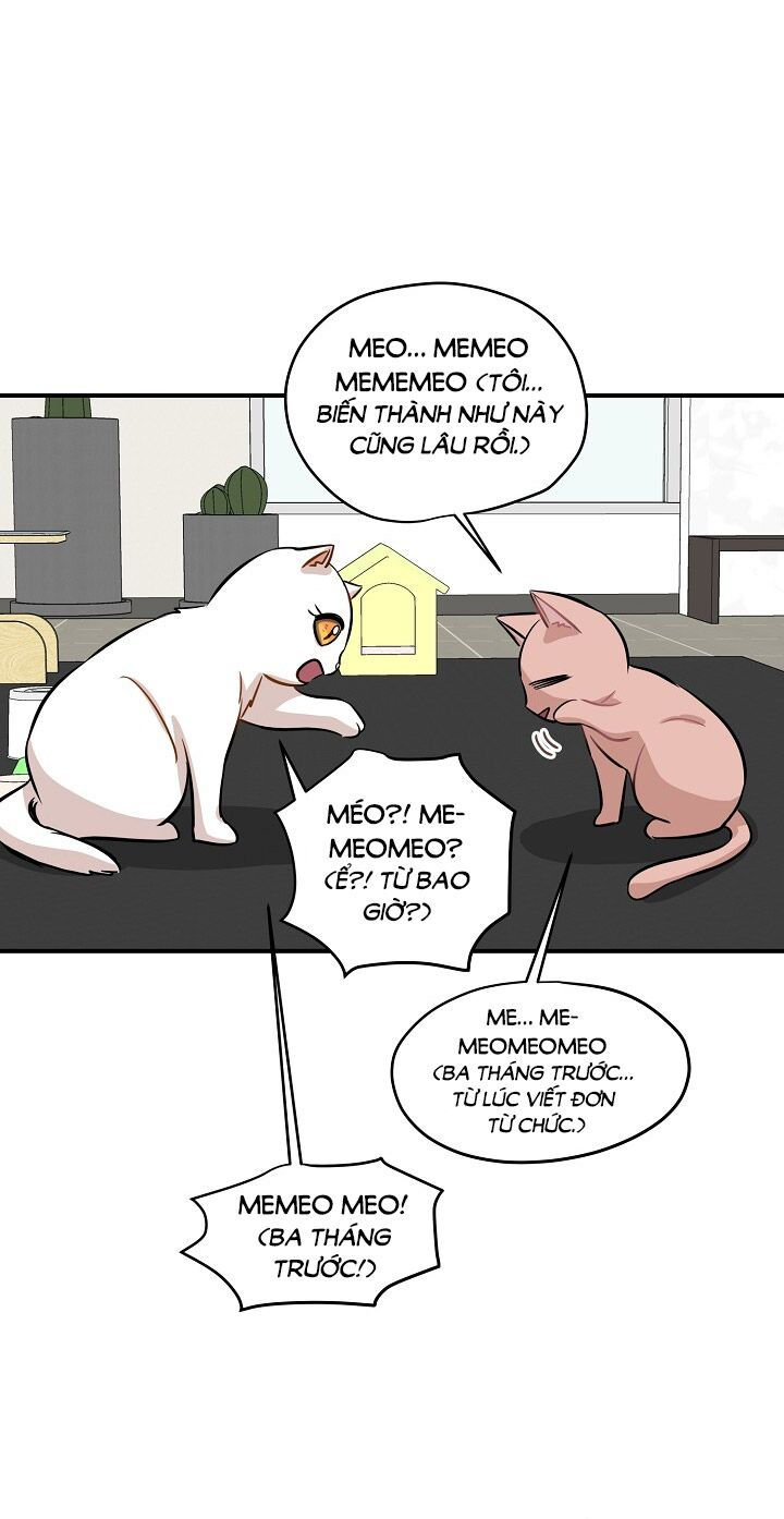 cuộc sống kỳ thú chapter 44 19
