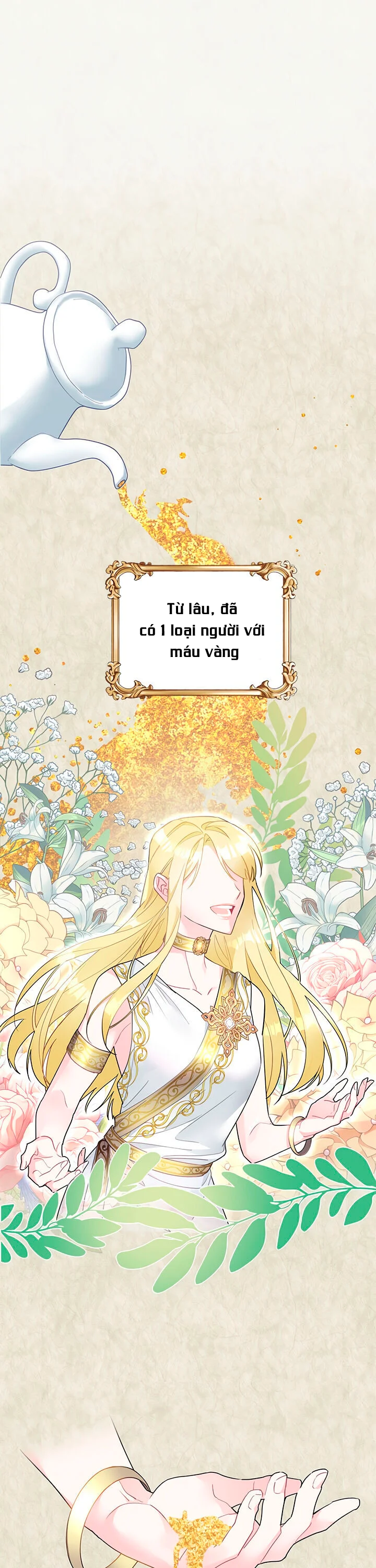 công chúa chim ưng cavier chapter 1.1 1