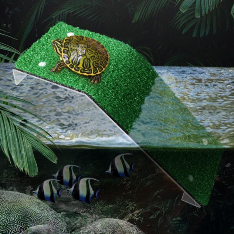 Máng leo cho rùa - phụ kiện trang trí bể nuôi rùa bò sát bãi cỏ mô phỏng petstore