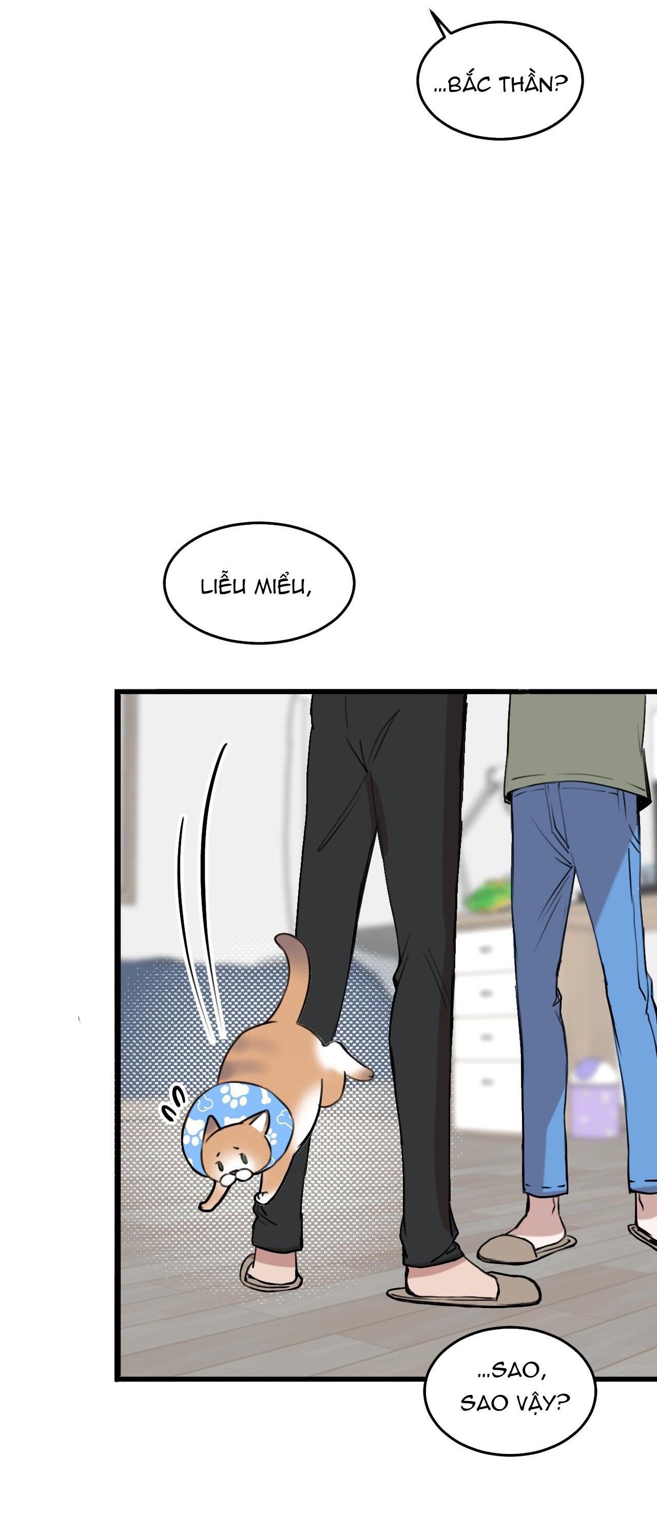 rốt cuộc bé mèo đang nghĩ gì ? chapter 15 9