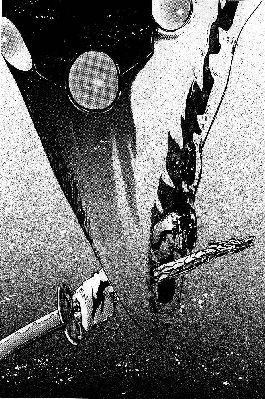 huyền thoại đôi cánh chapter 96 13