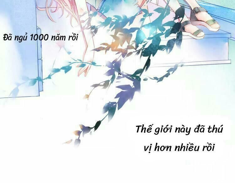 chuông và lá chapter 2.5 50