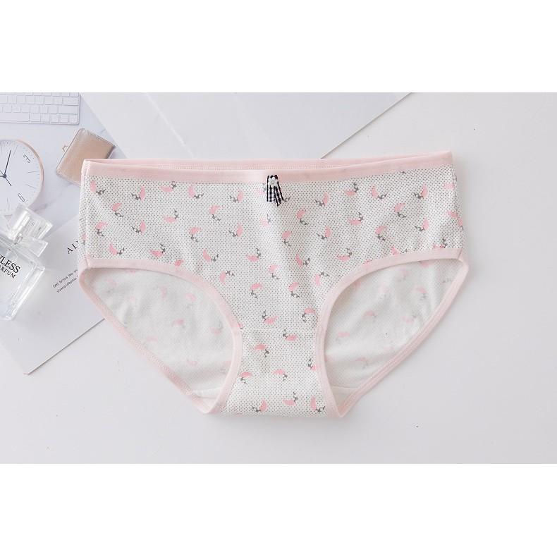 Quần Lót Cotton Kháng khuẩn Thời Trang Xuất Nhật Ngang Eo  Hàng Loại Đẹp.