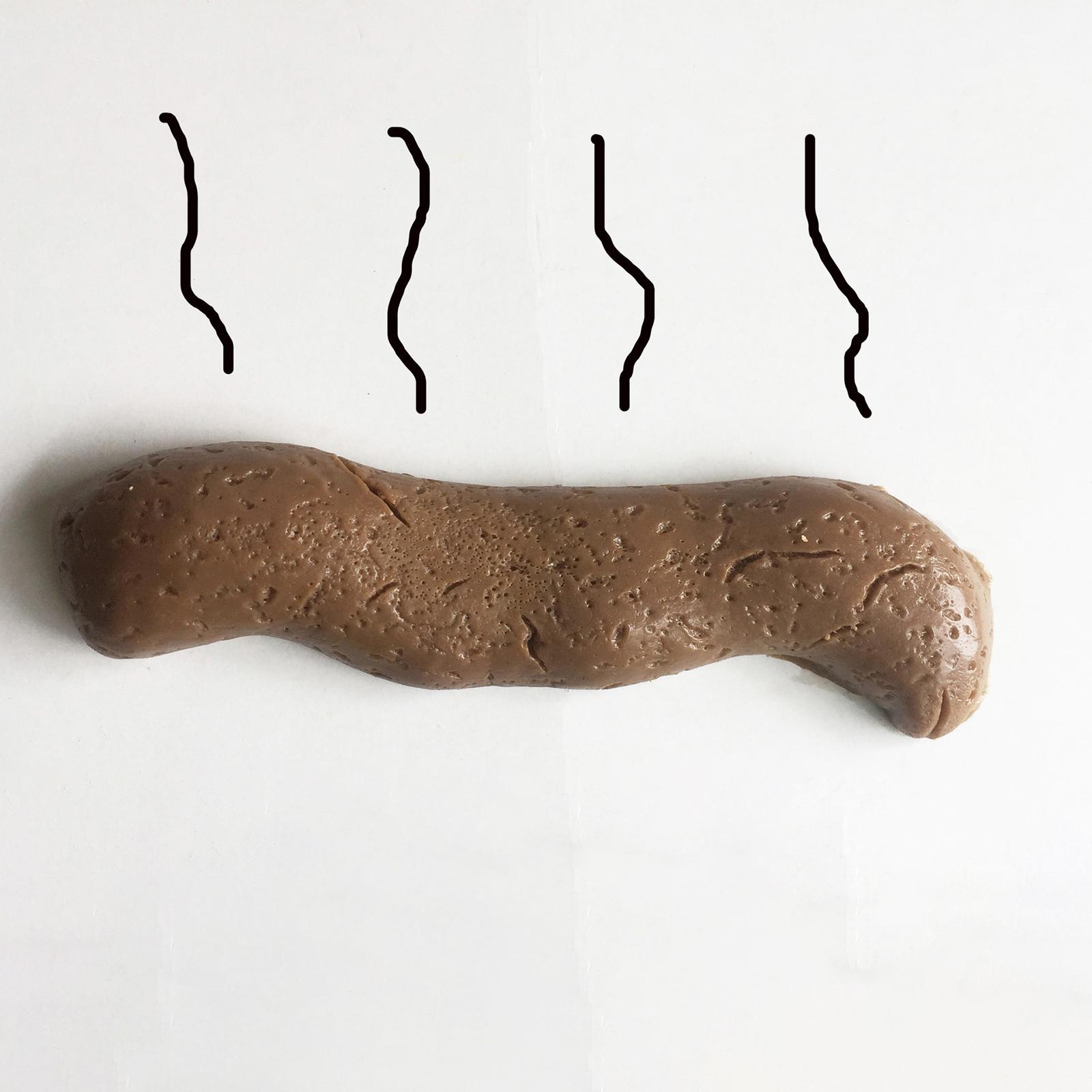 Fake Poo Toys, Joke Tricky Toys, Realistic Dog Poo for April Fools' Day Party
