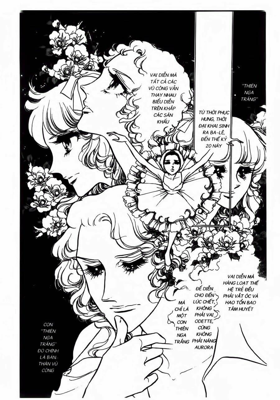 swan - vũ khúc thiên nga chapter 40 11