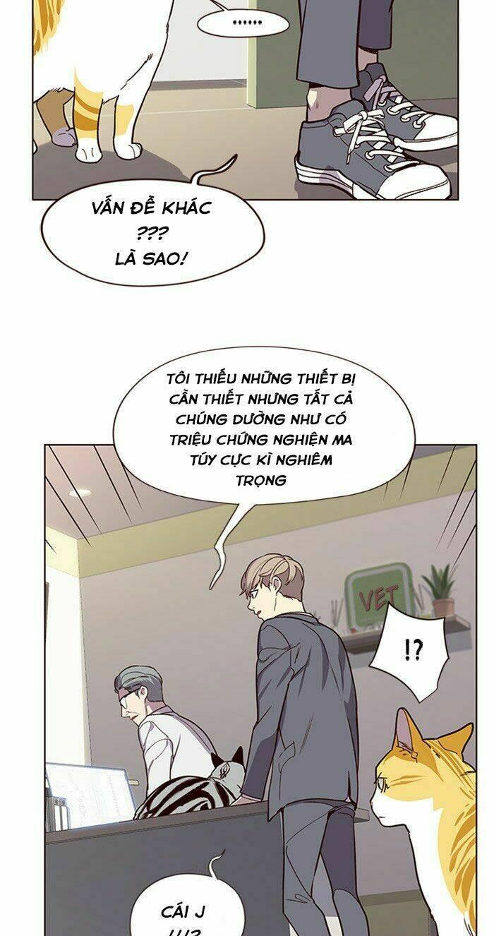 biến thân thành mèo chapter 10 49