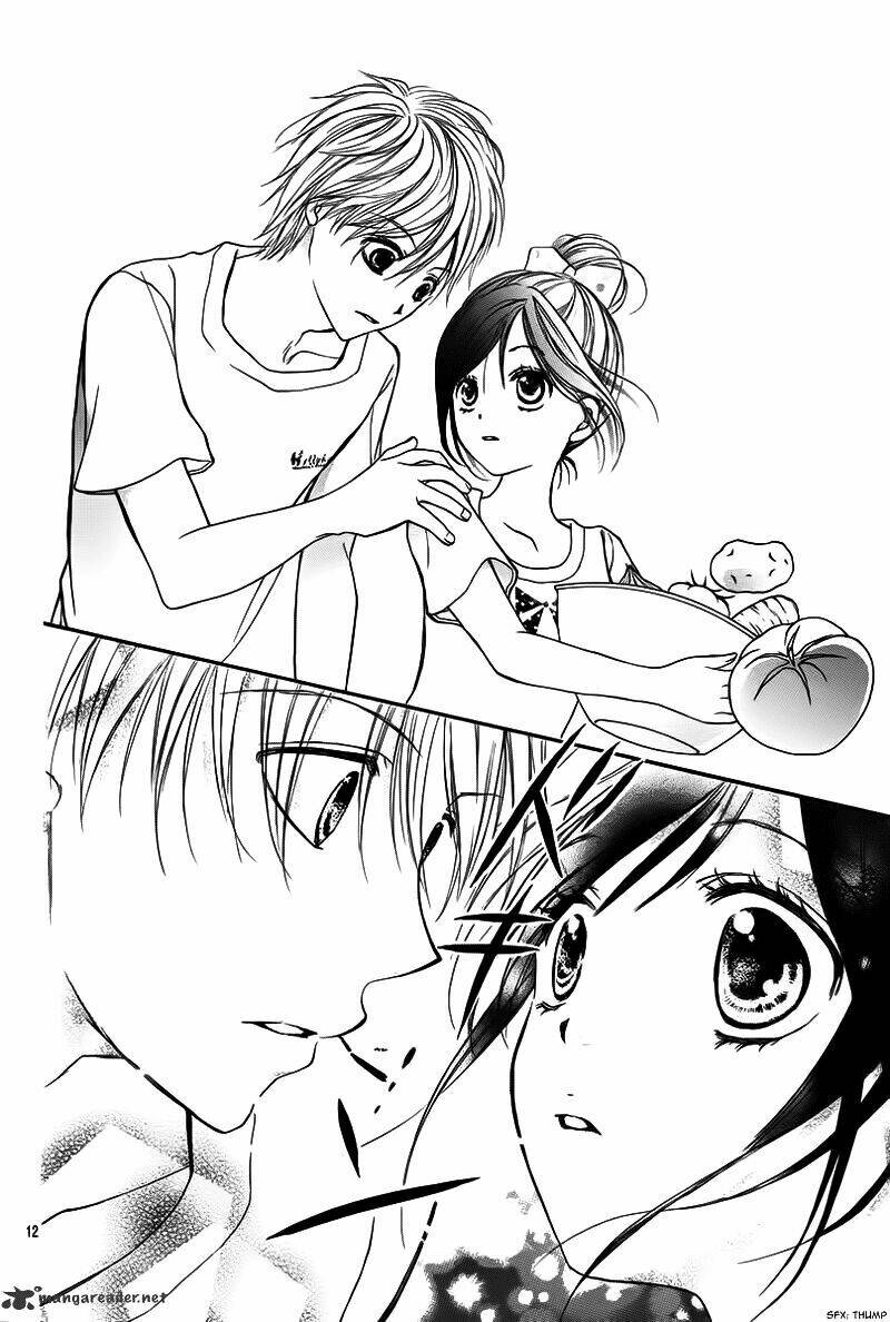 hachimitsu ni hatsukoi chapter 3 14