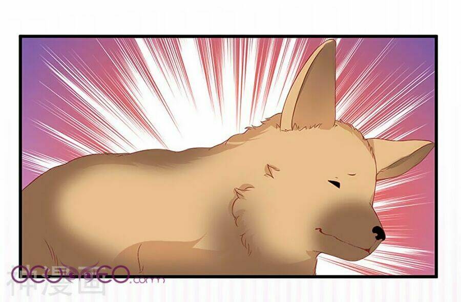 gối đầu vào tổng tài ác ma chapter 15 14