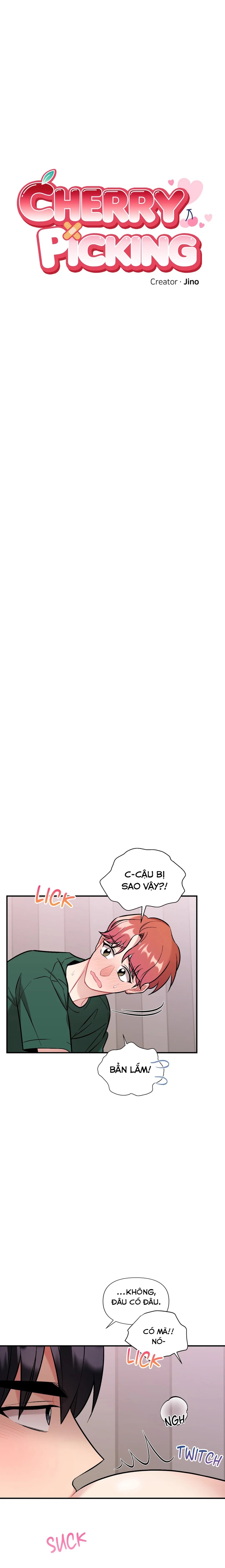 cherry picking chapter 24 2