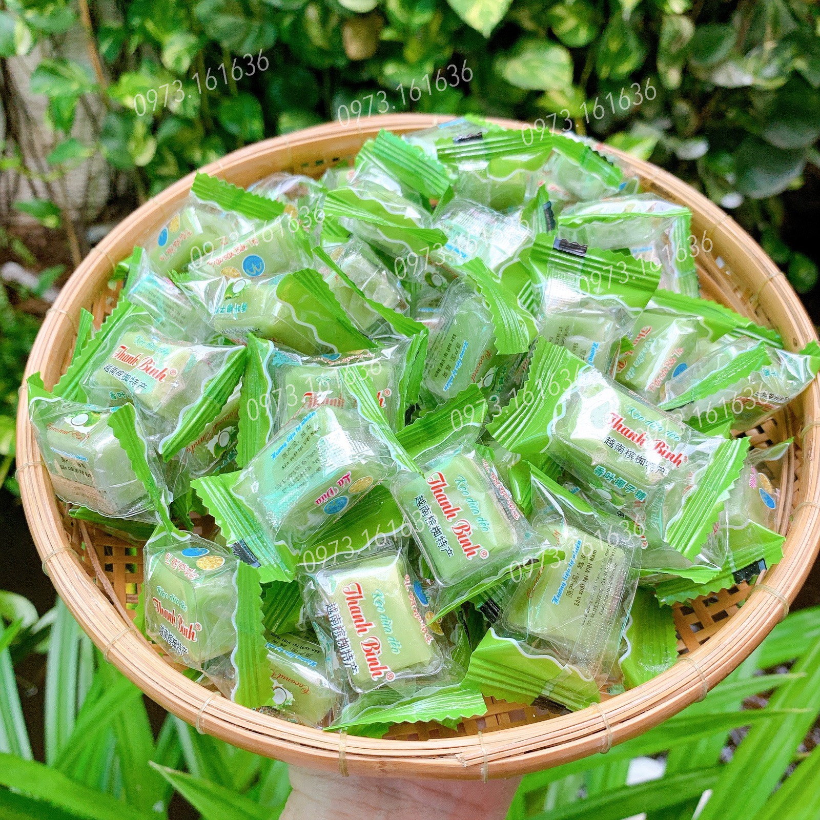 Kẹo Dừa Lá Dứa Thanh Bình - Túi Zip 500g - nguyên chất, có cốt dừa, mềm dẻo, thơm đậm vị vị cốt lá dứa nguyên chất - Đặc Sản Bến Tre