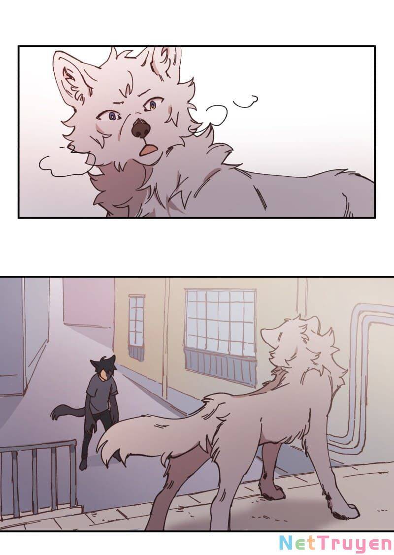 lumine - cội nguồn ánh sáng chapter 91 40