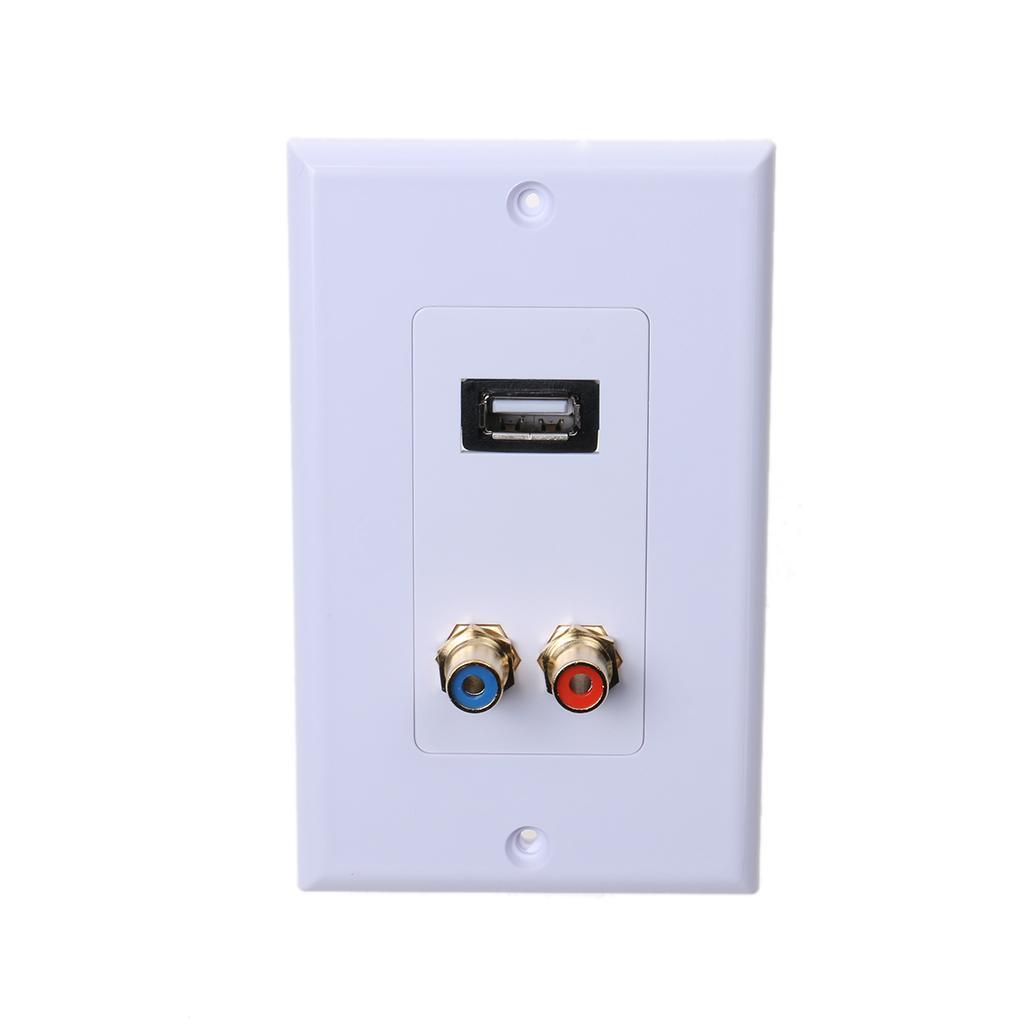 Gold Plated Wall Faceplate with USB 2.0 2RCA Female Ports